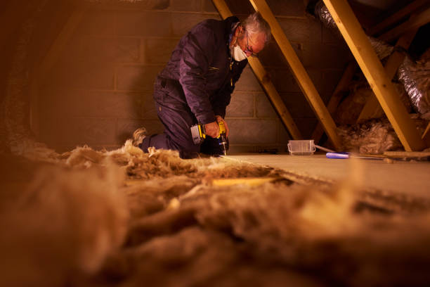 Best Insulation Removal Services  in USA